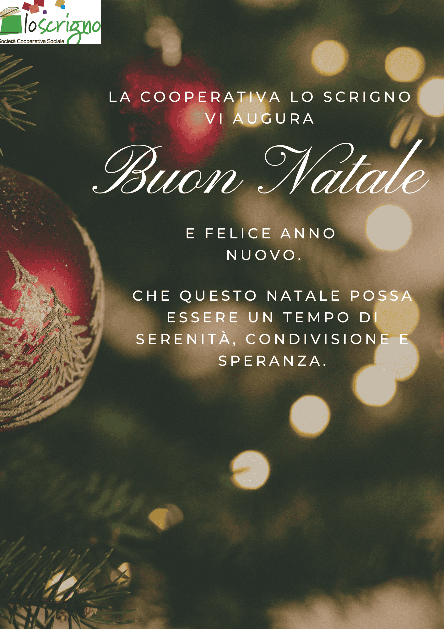 BUON NATALE E FELICE ANNO NUOVO DALLA COOPERATIVA LO SCRIGNO